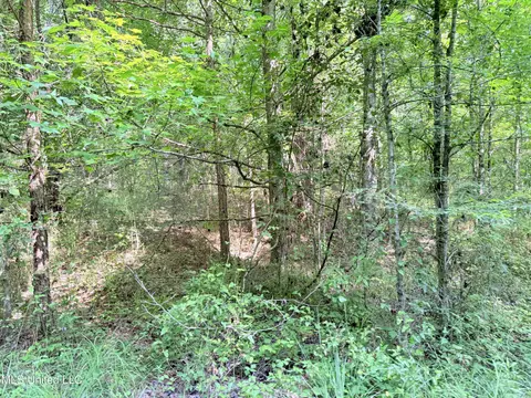 8346 Highway 14, Goodman, MS 39079 photo 53