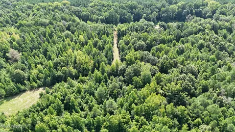8346 Highway 14, Goodman, MS 39079 photo 6