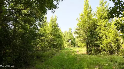 8346 Highway 14, Goodman, MS 39079 photo 3