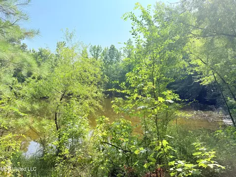 8346 Highway 14, Goodman, MS 39079 photo 9