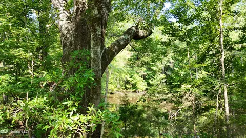 8346 Highway 14, Goodman, MS 39079 photo 38