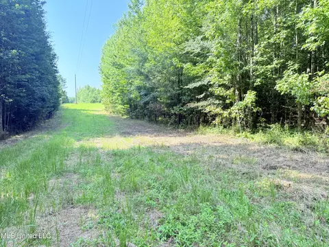 8346 Highway 14, Goodman, MS 39079 photo 13