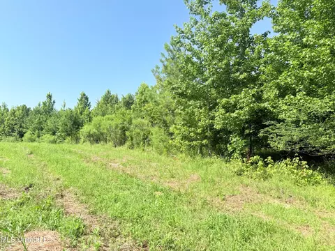 8346 Highway 14, Goodman, MS 39079 photo 11