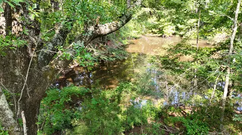 8346 Highway 14, Goodman, MS 39079 photo 41