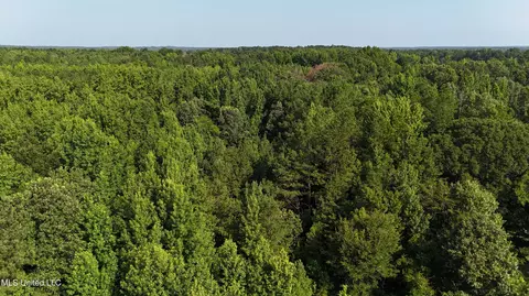 8346 Highway 14, Goodman, MS 39079 photo 28