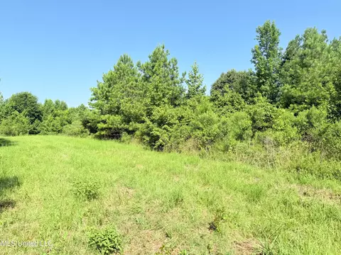 8346 Highway 14, Goodman, MS 39079 photo 14