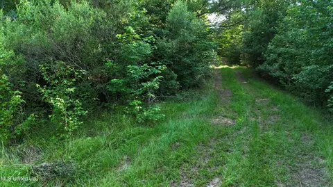 8346 Highway 14, Goodman, MS 39079 photo 45