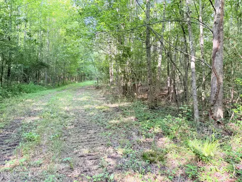 8346 Highway 14, Goodman, MS 39079 photo 57