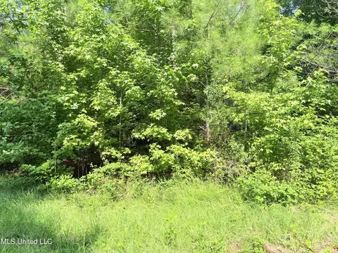 8346 Highway 14, Goodman, MS 39079 photo 49