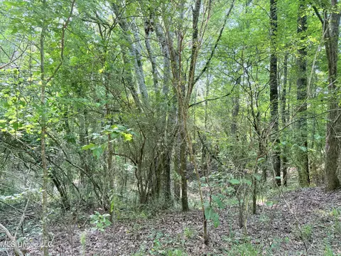 8346 Highway 14, Goodman, MS 39079 photo 47