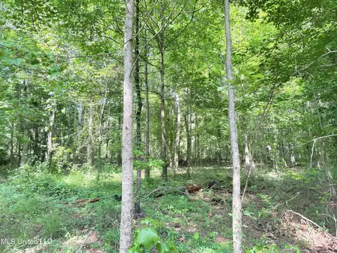 8346 Highway 14, Goodman, MS 39079 photo 7