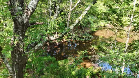8346 Highway 14, Goodman, MS 39079 photo 42