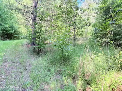 8346 Highway 14, Goodman, MS 39079 photo 52