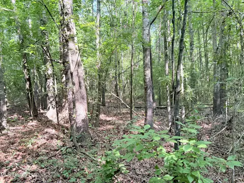 8346 Highway 14, Goodman, MS 39079 photo 55