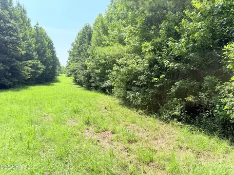 8346 Highway 14, Goodman, MS 39079 photo 36