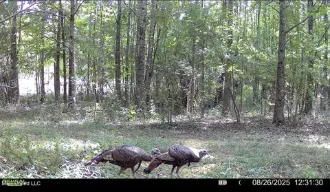 8346 Highway 14, Goodman, MS 39079 photo 4