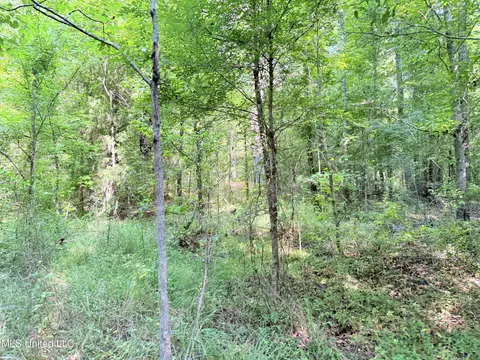 8346 Highway 14, Goodman, MS 39079 photo 54