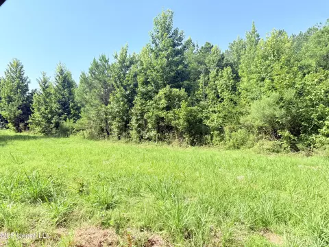 8346 Highway 14, Goodman, MS 39079 photo 35