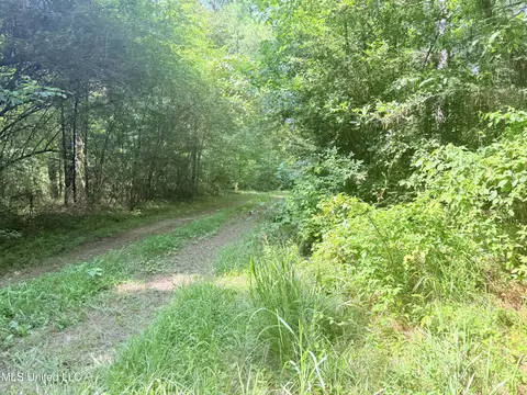 8346 Highway 14, Goodman, MS 39079 photo 58