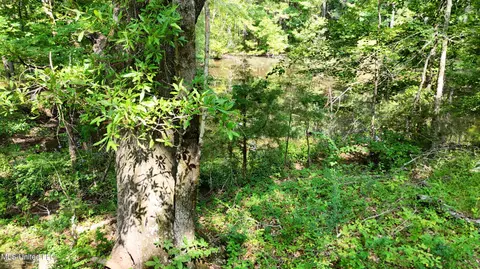 8346 Highway 14, Goodman, MS 39079 photo 43