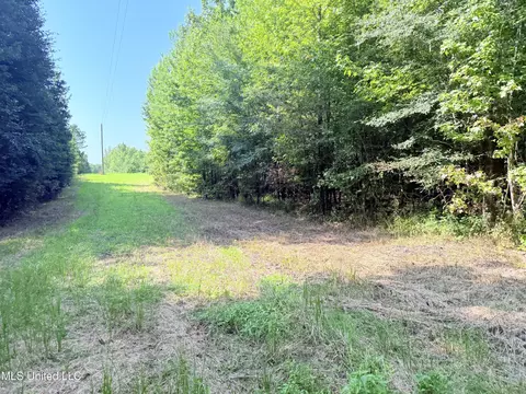 8346 Highway 14, Goodman, MS 39079 photo 12