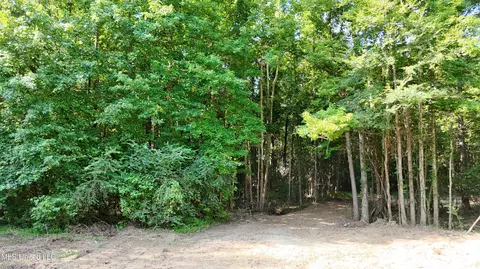 8346 Highway 14, Goodman, MS 39079 photo 19