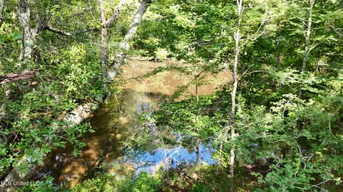 8346 Highway 14, Goodman, MS 39079 photo 40