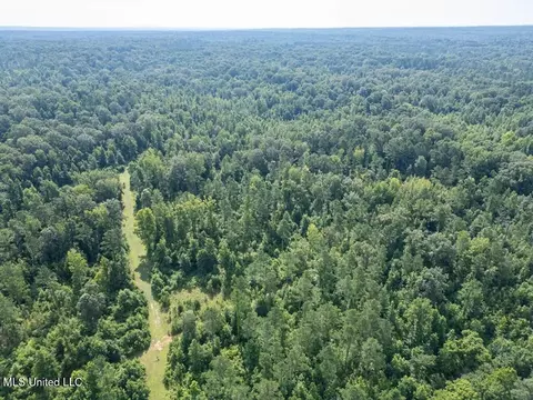 2199 Old Port Gibson Rd, Utica, MS 39175