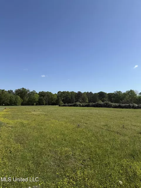 Liberty Road, Flowood, MS 39232 photo 5