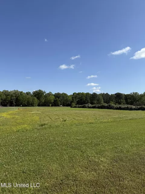 Liberty Road, Flowood, MS 39232 photo 2