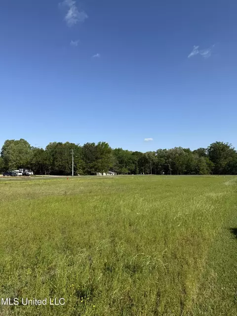 Liberty Road, Flowood, MS 39232 photo 4