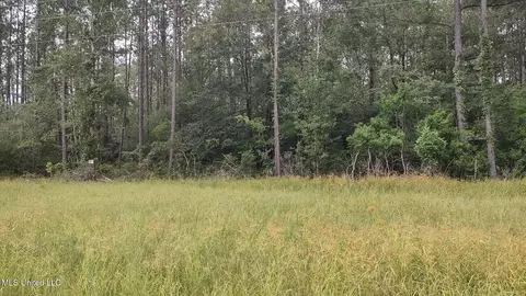 Ms-43 N, Picayune, MS 39466