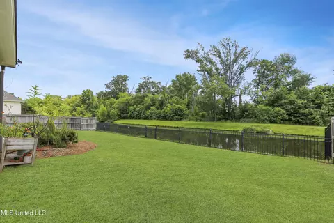 124 Colony Pl, Madison, MS 39110 photo 38