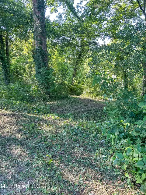 Other - 003 Highway 80, Edwards, MS 39066 photo 4 of 6
