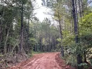 0 Road 270, Union, MS 39365 photo 2
