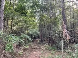0 Road 270, Union, MS 39365 photo 3