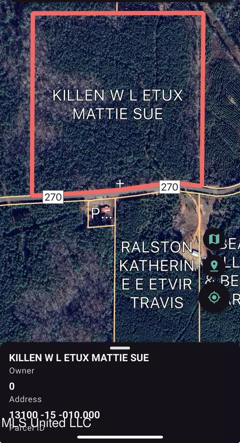 0 Road 270, Union, MS 39365 photo 8