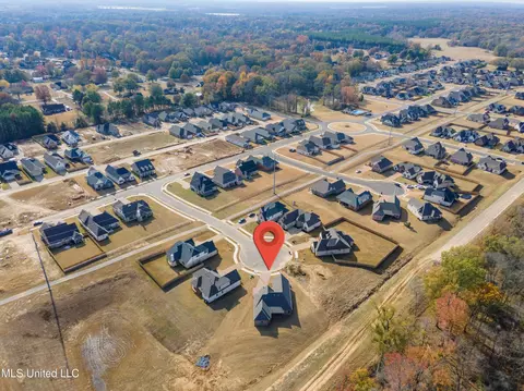2968 Piper Cv, Nesbit, MS 38651 photo 33