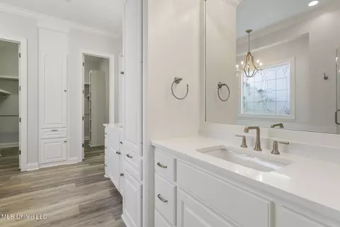 Bath - 100 Laird Ave, Madison, MS 39110 photo 3 of 5