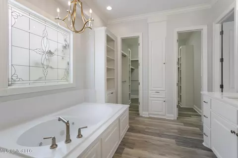 Bath - 100 Laird Ave, Madison, MS 39110 photo 2 of 5