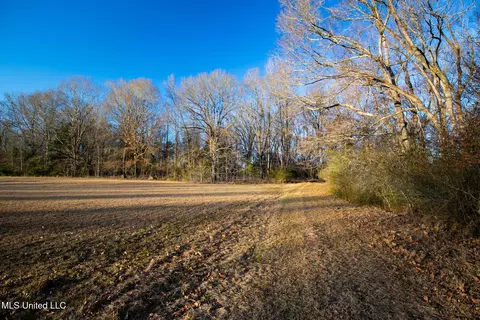 0 Mccullough Ln, Flora, MS 39071 photo 4