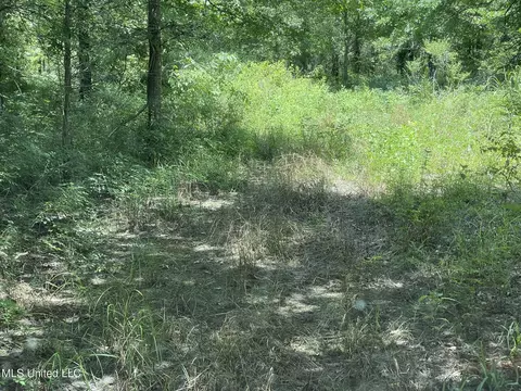 Hwy 442, Schlater, MS 38952 photo 14