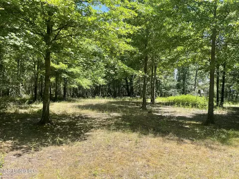 Hwy 442, Schlater, MS 38952 photo 19
