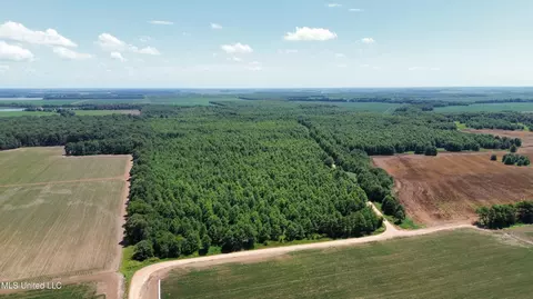 Hwy 442, Schlater, MS 38952 photo 2