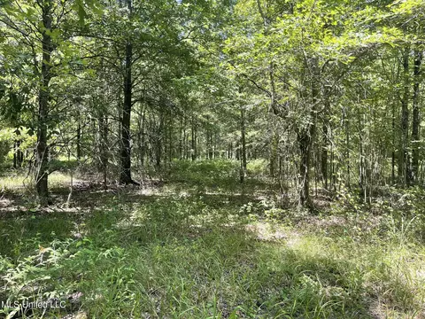 Hwy 442, Schlater, MS 38952 photo 13