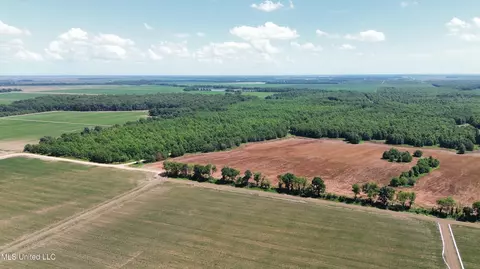 Hwy 442, Schlater, MS 38952 photo 6