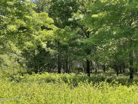 Hwy 442, Schlater, MS 38952 photo 10
