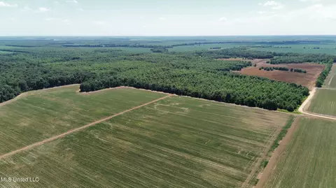 Hwy 442, Schlater, MS 38952 photo 4
