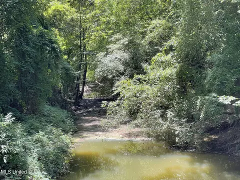Hwy 442, Schlater, MS 38952 photo 24