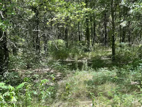 Hwy 442, Schlater, MS 38952 photo 15